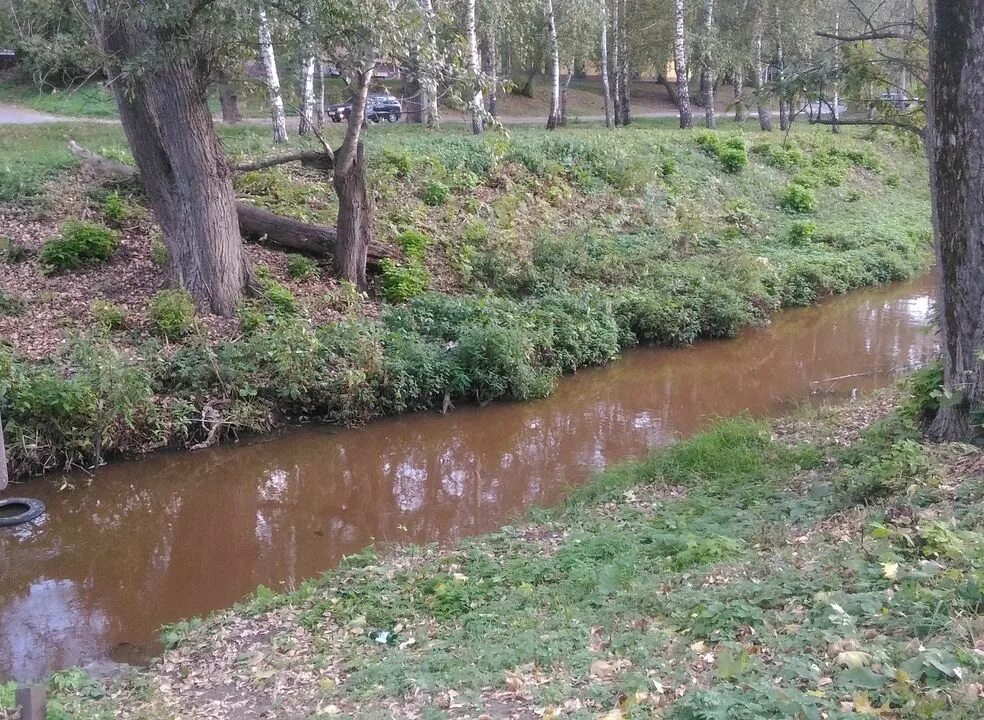 Река лыбедь рязань фото Рязанская речка Лыбедь поменяла цвет