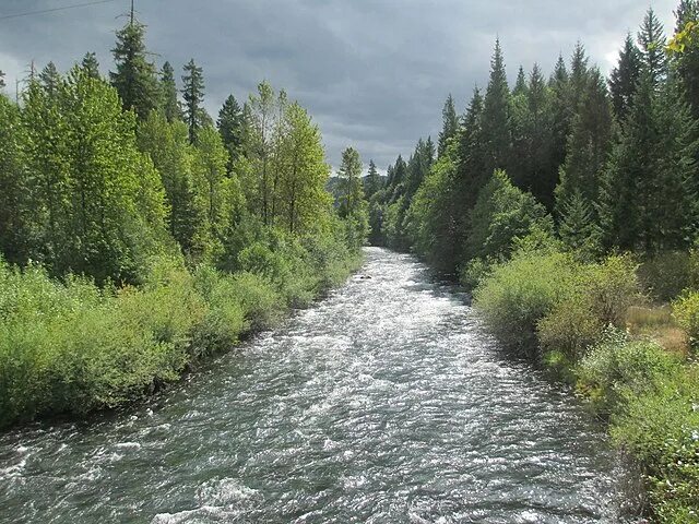 Река маккензи фото File:South Fork McKenzie River, Oregon.jpg - Wikipedia