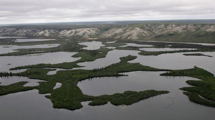 Река маккензи фото Genetic research is showing that the Indigenous people of Canada's Western Arcti