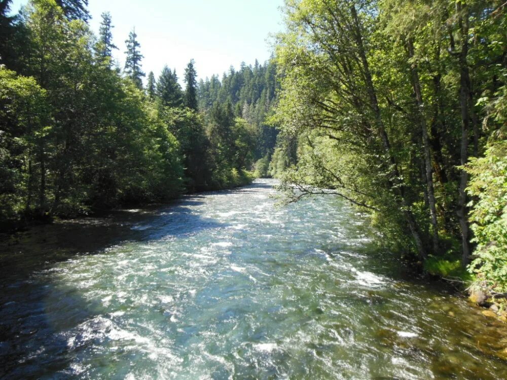 Река маккензи фото Open rivers