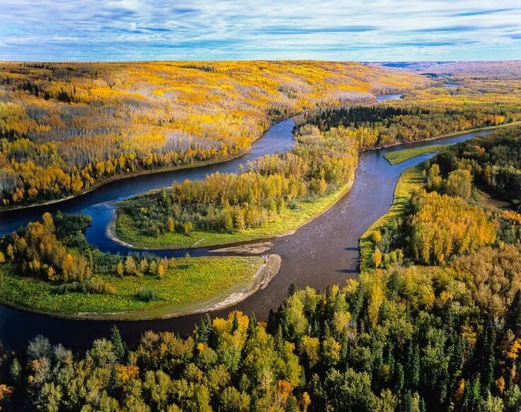 Река маккензи фото Boreal forest - Alberta,Canada - photo, Garth Lenz Canada photos, Boreal forest,