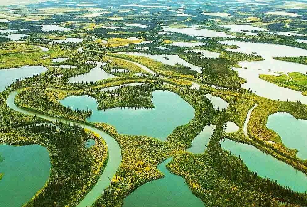 Река маккензи фото Delta do Rio Mackenzie - Canadá Lugares incríveis, Rio, Canada