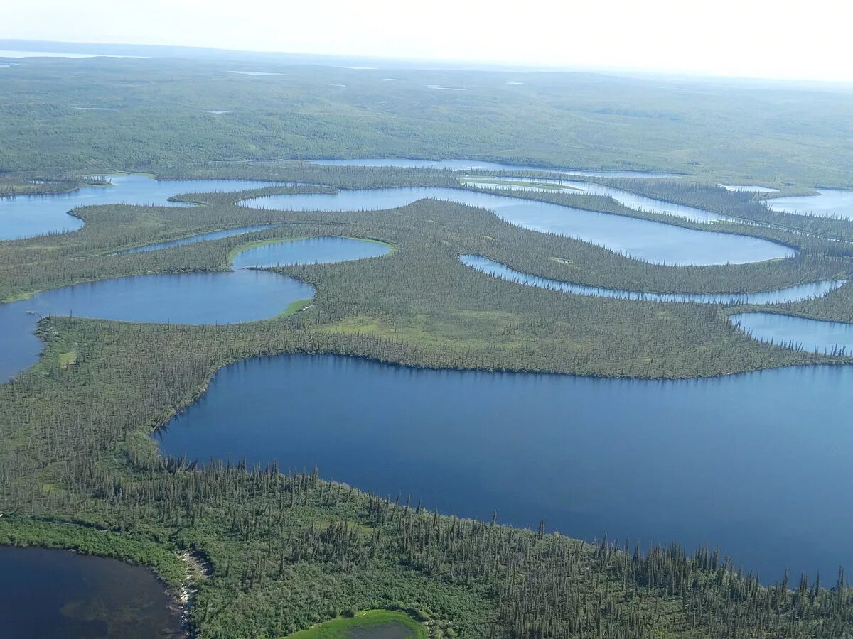 Река маккензи фото Файл:View over Mackenzie Delta from Cessna 172 - En route from Inuvik to Tuktoya