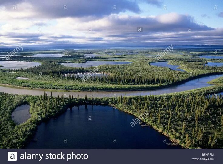 Река маккензи фото Dieses Stockfoto: Mackenzie River Delta, NWT, arktischen Kanada - BFHPFM aus der