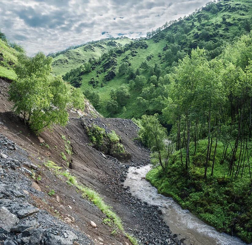 Река малка фото река Малка :: Аnatoly Gaponenko - Социальная сеть ФотоКто