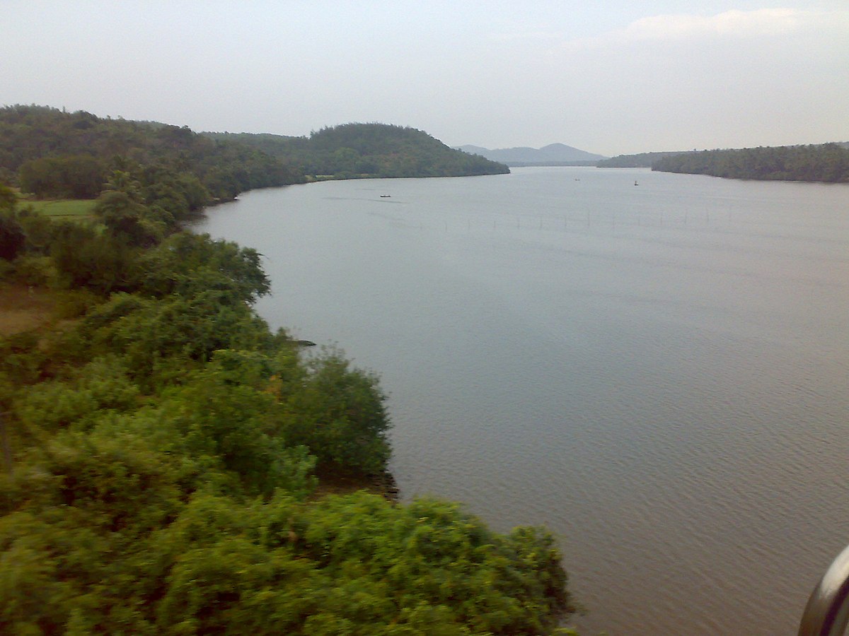 Река мандови фото File:River mandovi- goa - panoramio.jpg - Wikimedia Commons