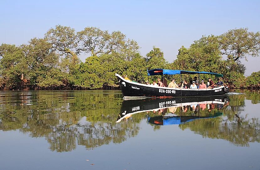 Река мандови фото Файл:Touristboat on mandovi.JPG - Википедия