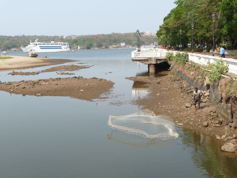 Река мандови фото India Travel Pictures: Goa mandovi river