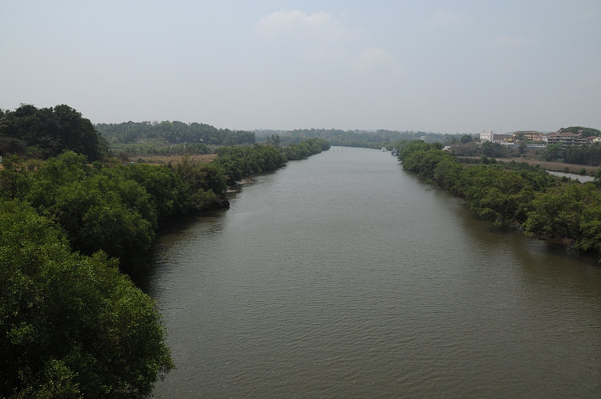 Река мандови фото File:View of Aldona and Mapusa River tributary of the Mandovi River.JPG - Wikipe