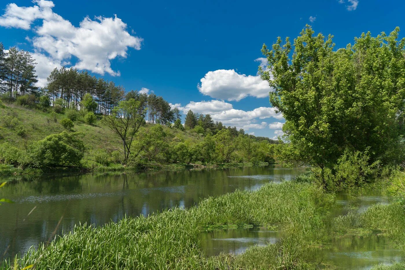 Река мая фото За окошком месяц май / Ливенские джунгли Река Труды