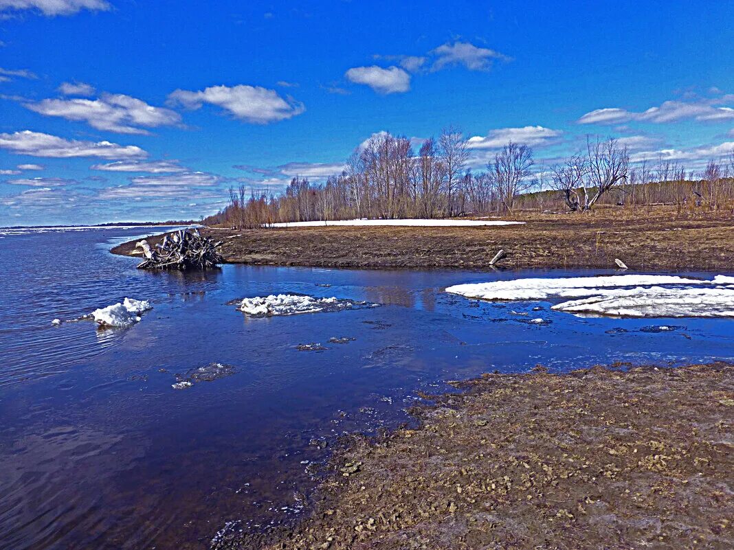 Река мая фото Май,..Река Юганская Обь западнее Чеускино. :: Владимир - Социальная сеть ФотоКто