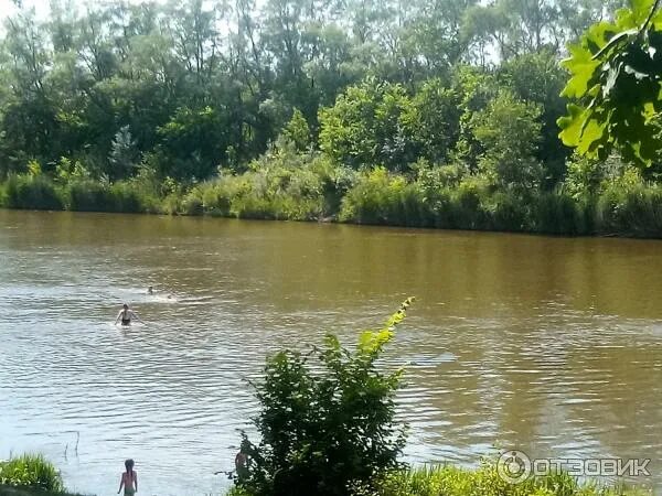 Река медведица волгоградская область фото Отзыв о Отдых на реке Медведица (Россия, Волгоградская область) Река своеобразна