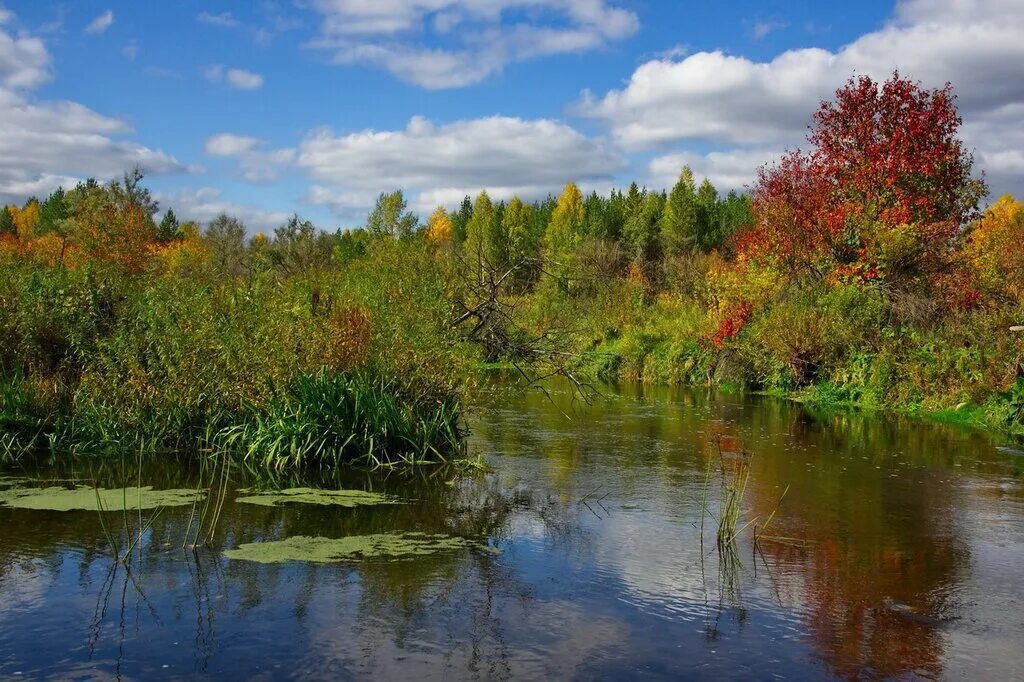 Река миасс фото INTERNATIONAL GEOGRAPHIC: поговорим о съемке природы и архитектуры Клуб Foto.ru 