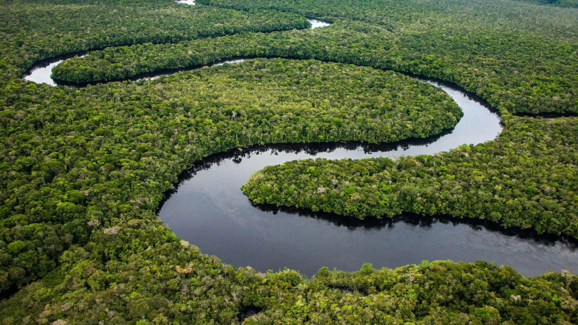 Река мира фото A world without the Amazon? Safeguarding the Earth’s largest rainforest is focus