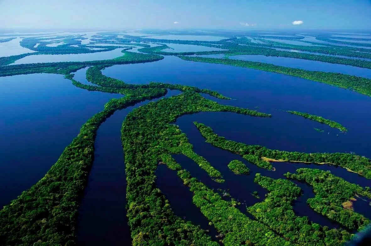 Река мира фото Parque Nacional de Anavilhanas, Ново-Айрао: лучшие советы перед посещением - Tri