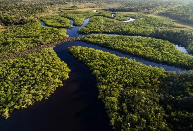 Река мира фото GISMETEO: Амазонские джунгли могут сократиться на 38 % из-за засухи и вырубки де