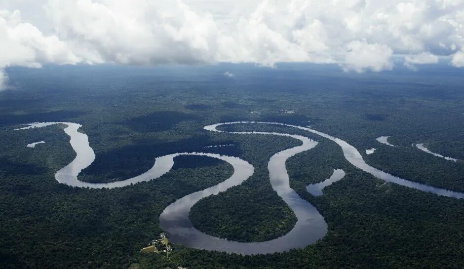 Река мира фото Coral Reef Found In Amazon River: Scientists Astounded, Unique Ecosystems Alread