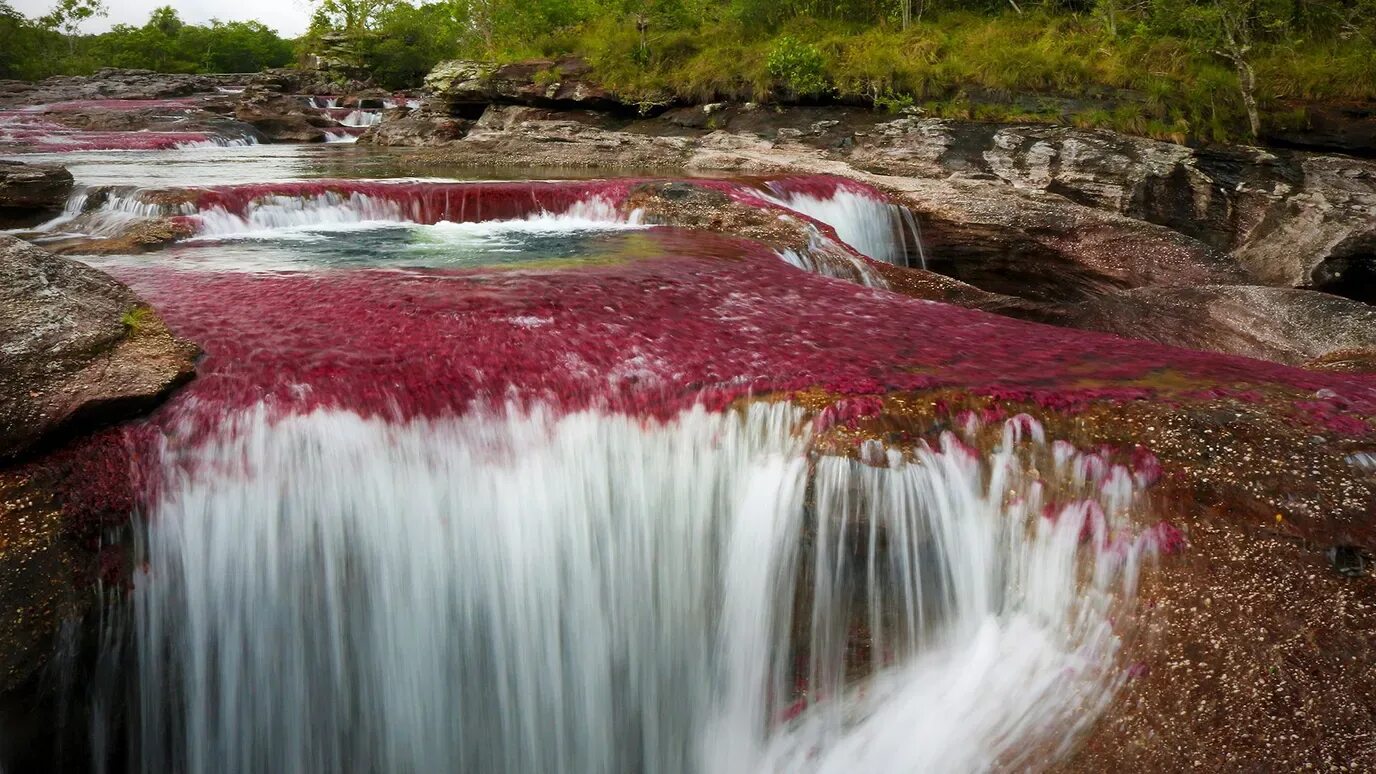 Река мира фото The most beautiful river in the world' - BBC Reel