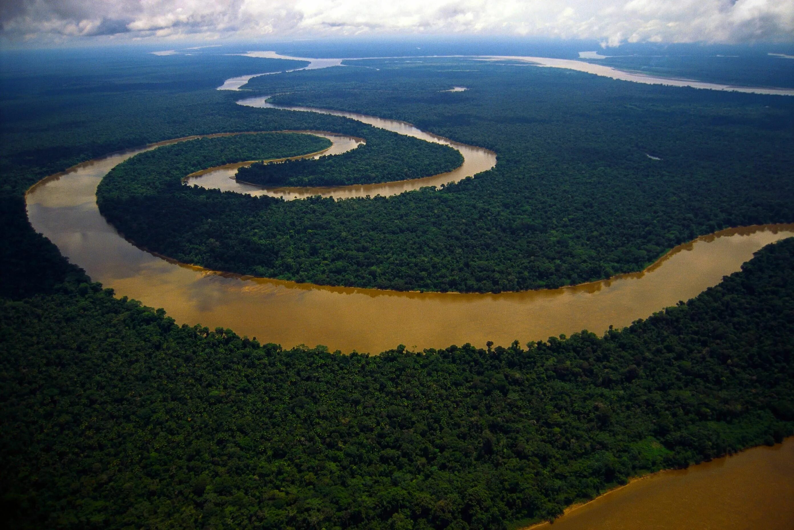 Река мира фото Tigre river, Peruvian Amazon Río amazonas, Peces de rio, Amazonas