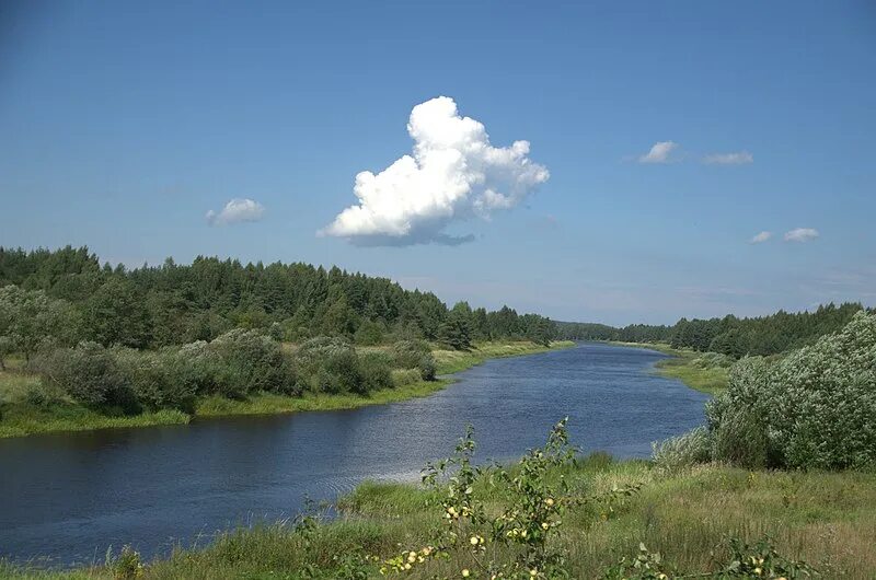 Река могоча тверская область фото Сурет:0237 Maksatikhinsky District, Tver Oblast.jpg - Уикипедия