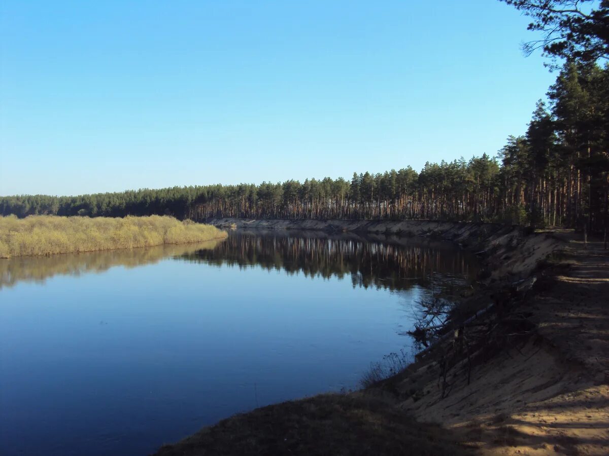 Река молога фото В Тверской области создаётся культурно-туристический кластер