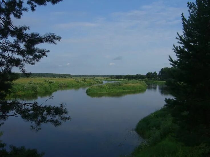 Река молога фото Mologa River. Photo: Denis Agentov River, Outdoor, Photo