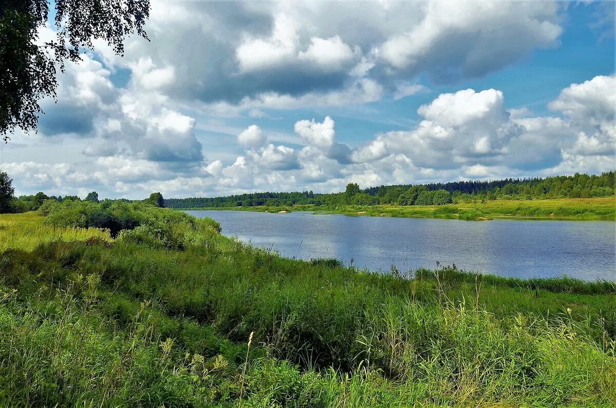 Река молога фото Молога река-жемчужина земли Новгородской... :: Sergey Gordoff - Социальная сеть 