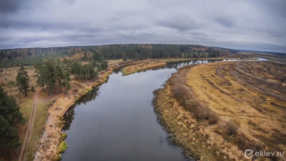 Река молога фото Рыбалка на реке Молога: список рыболовных туров