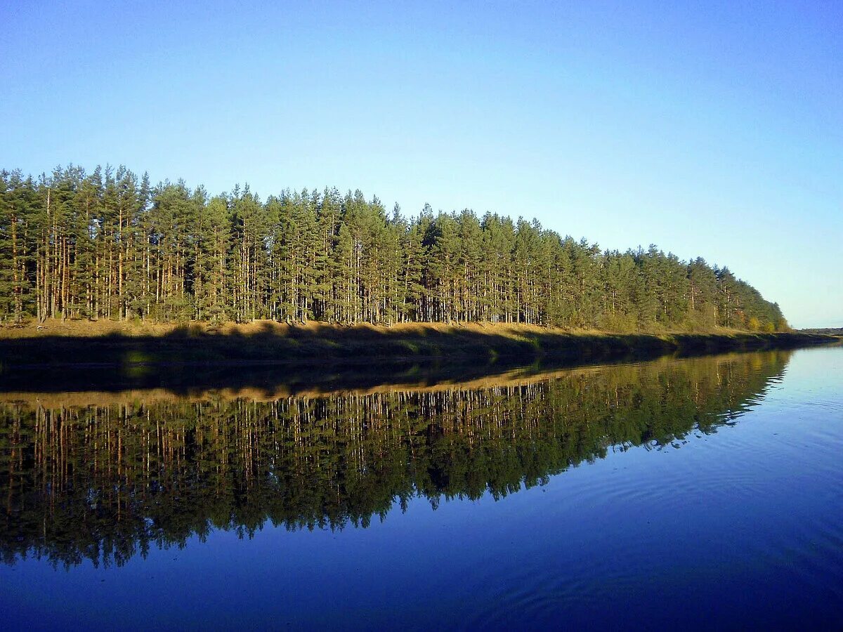 Река молога фото Почему когда в реке поднимается уровень воды рыба перестает клевать РЫБАЛКА С МИ