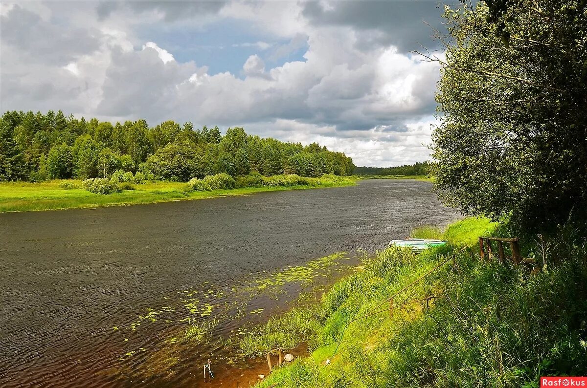 Река молога фото Фото: Молога река.... Пейзажный фотограф Сергей Гордов. Пейзаж. Фотосайт Расфоку