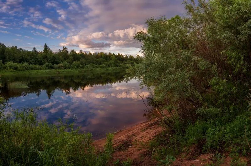 Река молога фото про летний вечер и тишину на реке в 2021 г Идеи озеленения, Река, Красивые места