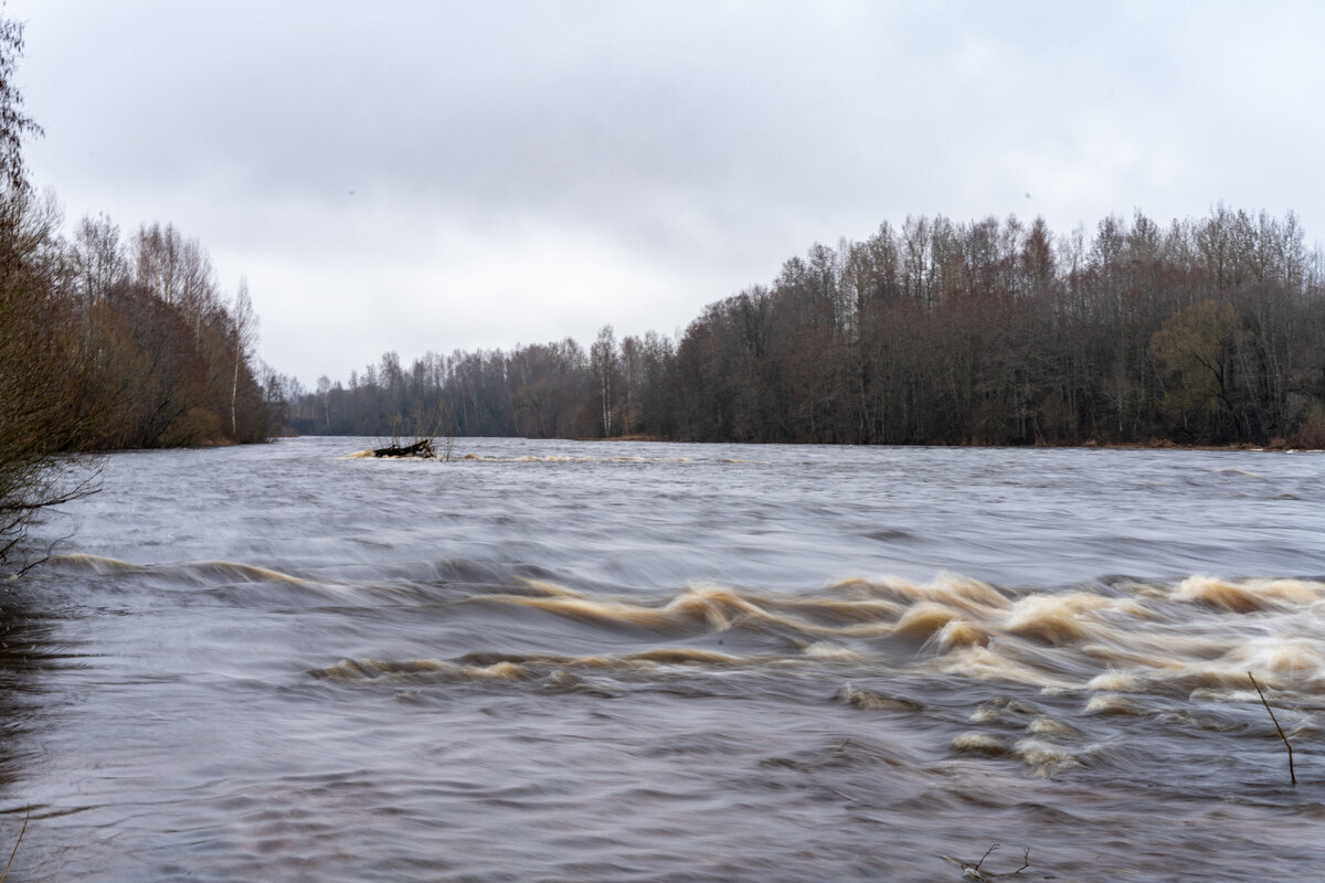 Река мста фото Река Мста: пороги, водопады и подвесные мосты Русская дорога Дзен