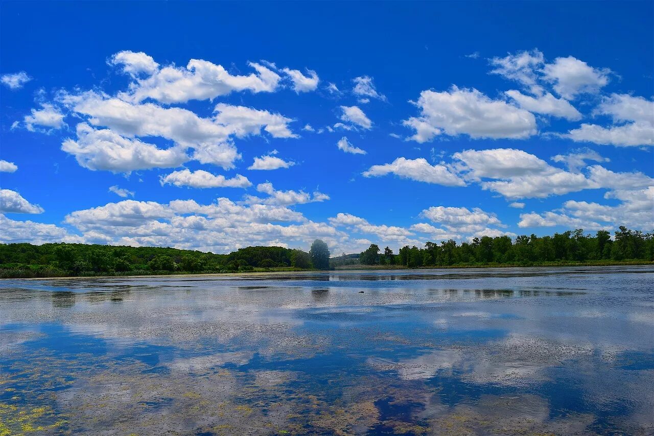 Река небо фото Edit free photo of Lake,clouds,sky,blue,nature - needpix.com