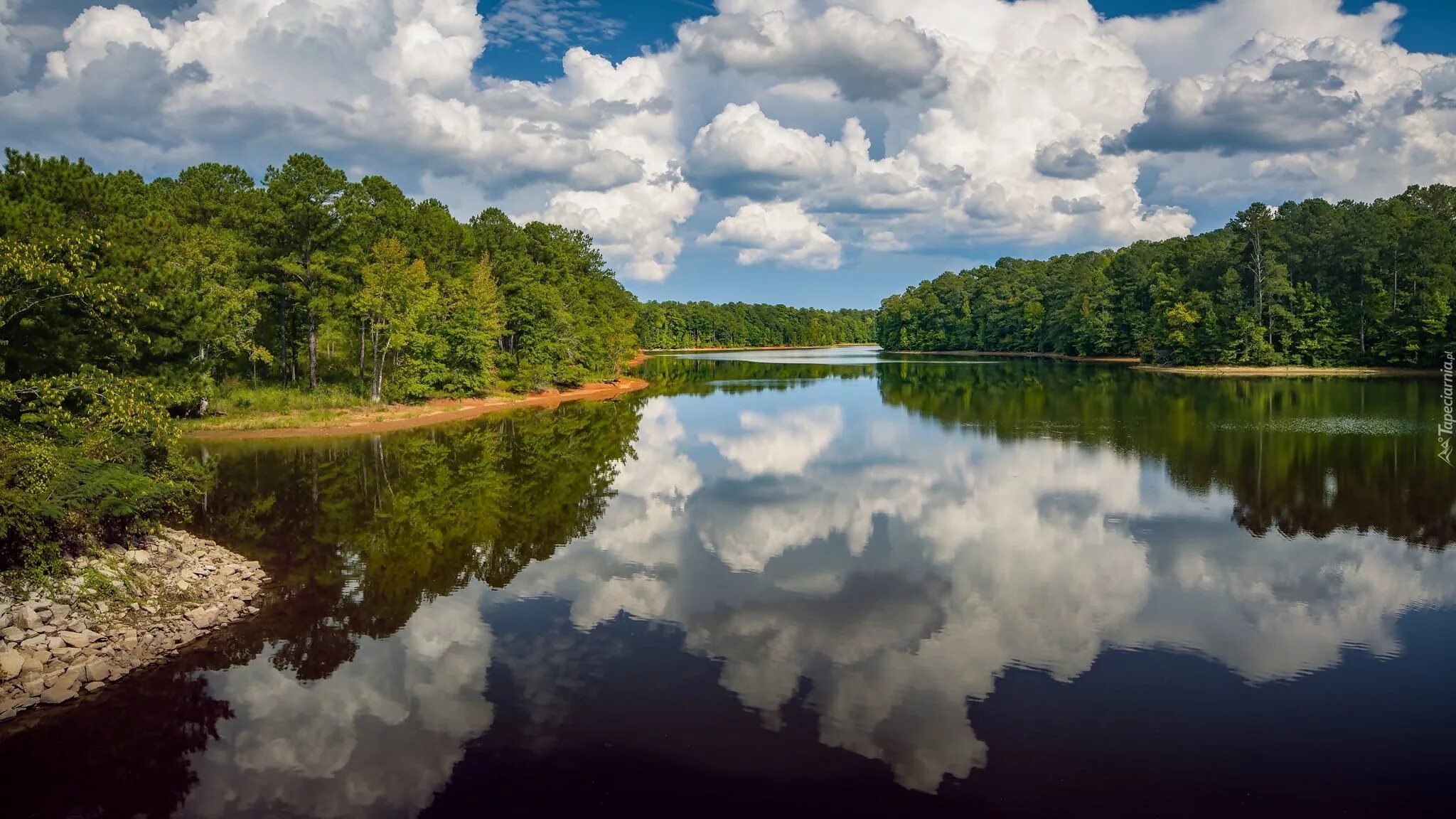 Река небо фото Lasy, Rzeka, Chmury, Odbicie Landscape, Reflection, Clouds