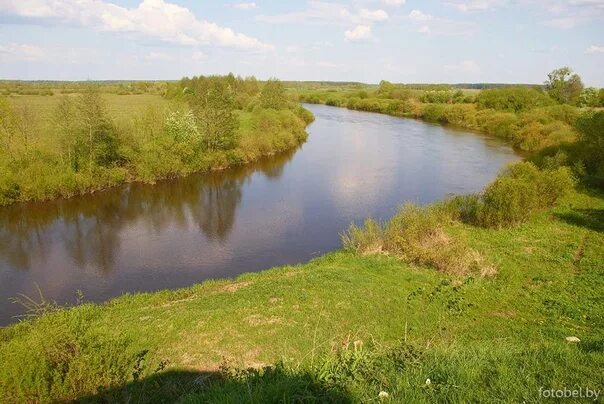 Река неман фото Природа реки Неман: Фотоистории Природные истории Фотогалерея природы на dia-log