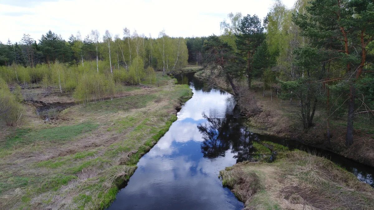 Река нерская фото Нерская- река Дикая природа в фотографиях и рассказах