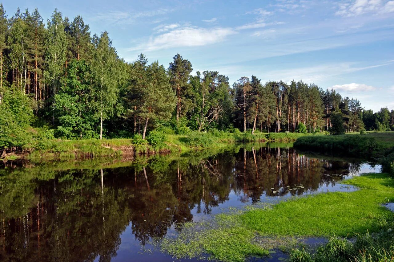 Река нерская фото Река Нерская и хвойно-лиственный... - Долина реки Нерская - Landscapes and habit