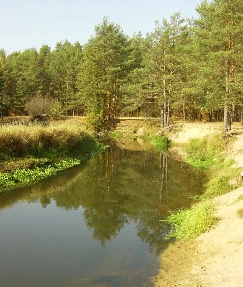 Река нерская фото Иллюстрации к "река Нерская, river Nerskaya"