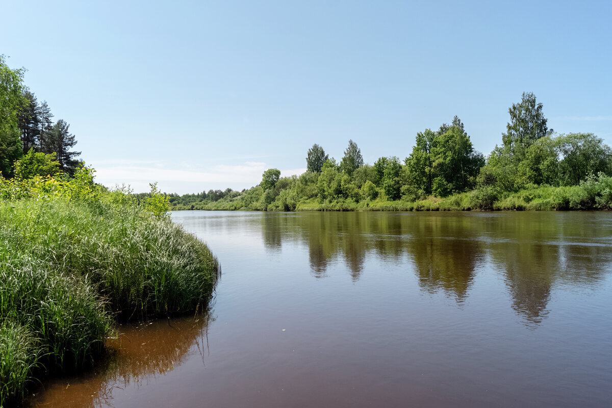 Река нея фото Путешествие по нижнему течению реки Нея. Сплав в Костромской области Случайный П