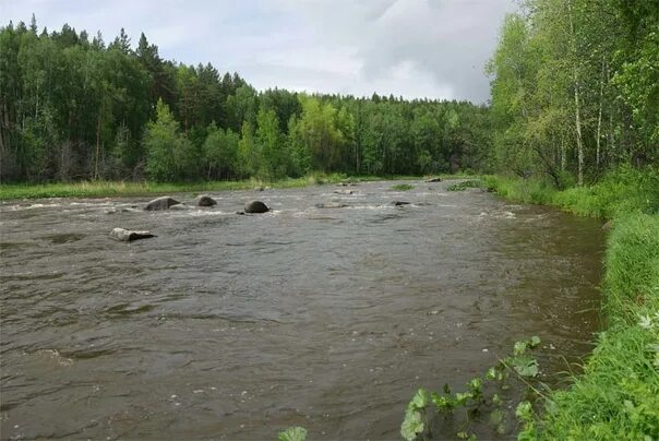 Река нейва фото 30 апреля - 3 мая 2021. р.Нейва, нижний участок 64 км ВКонтакте