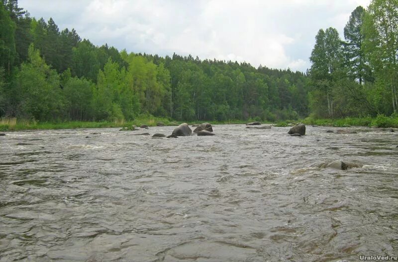 Река нейва фото Река Нейва - Ураловед