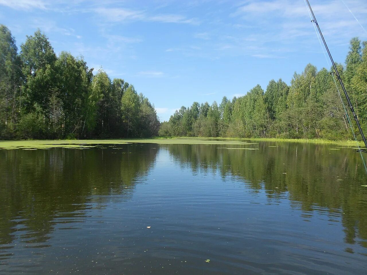 Река нейва фото Файл:Река Нейва - panoramio (2).jpg - Википедия