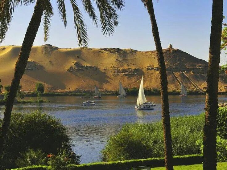 Река нил фото Pin by Prairie Flower on EGYPT (3) Visit egypt, Nile river, Egypt tours