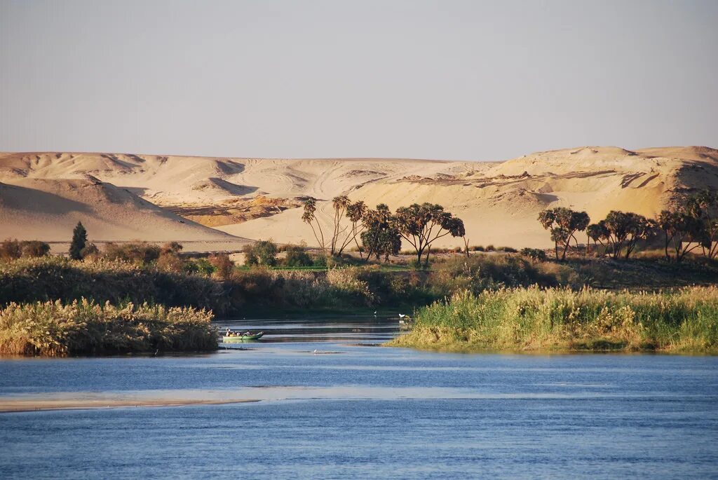 Река нил фото Research plots a collaborative future for river Nile biodiversity - UQ News - Th