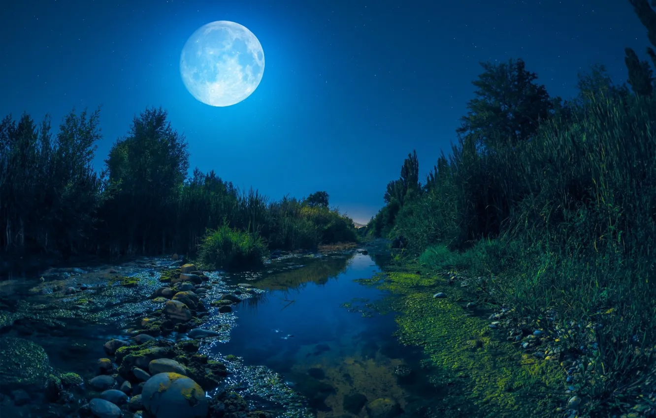 Река ночью фото Wallpaper the sky, light, trees, night, nature, river, stones, the moon for mobi