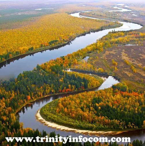 Река обь фото Ob River - Russia