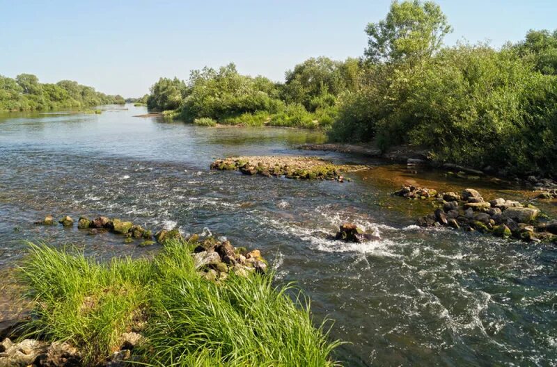 Река область фото Уровень воды в реке Проня превысил опасную отметку zviazda.by