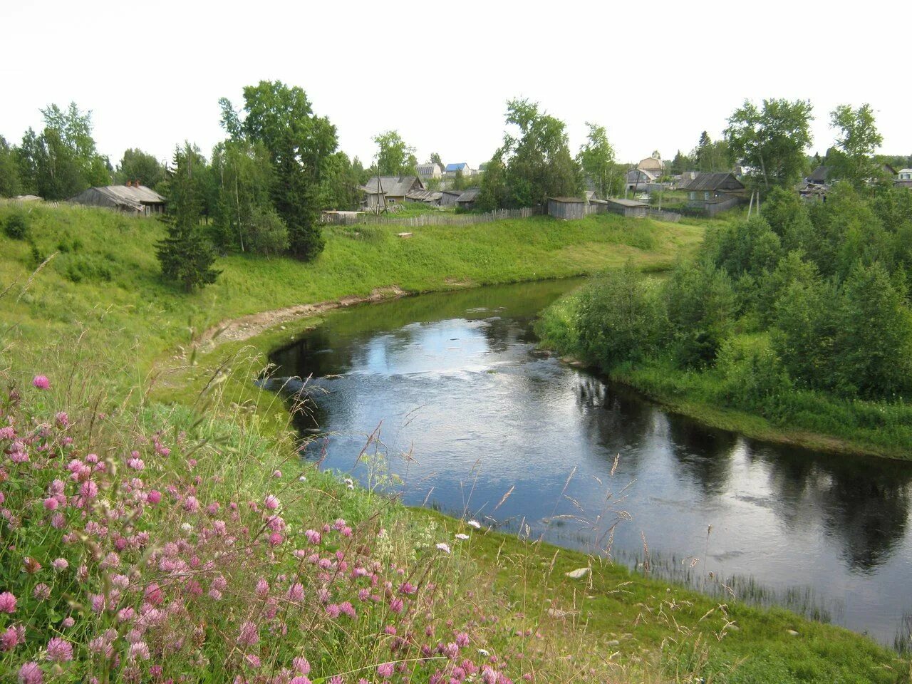 Река область фото Река Малошуйка. Архангельская область. Фото собак, Река, Природа