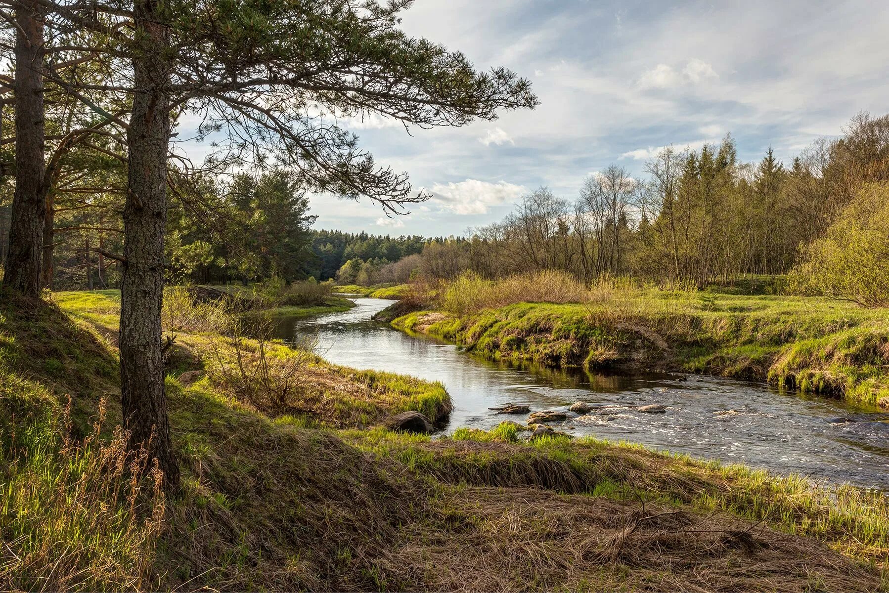 Река область фото Тверская область, река Орша. Автор: sergej.gudy: olegivanov1966 - ЖЖ