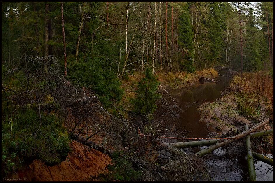 Река охта фото Фотография Река Охта и окрестности. #3, автор Sergey Ashurkov